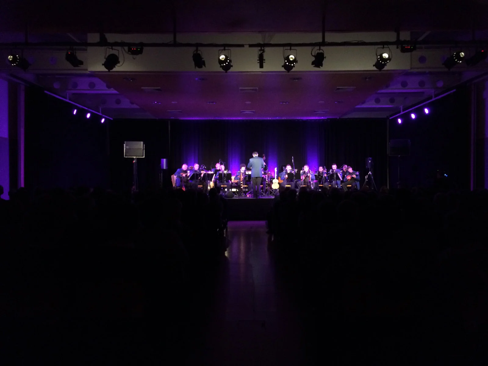 Konzert im Hollabrunner Stadtsaal mit Werner Auer und Band.
